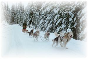 One of our very favorite places to run. A pic from many years ago.