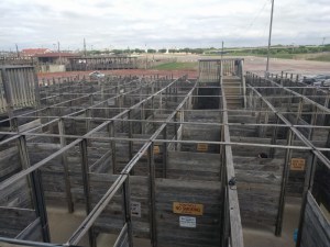 maze