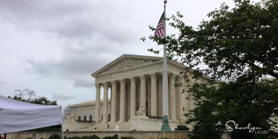 employment lawyer, lawyer, labor law, attorney, law