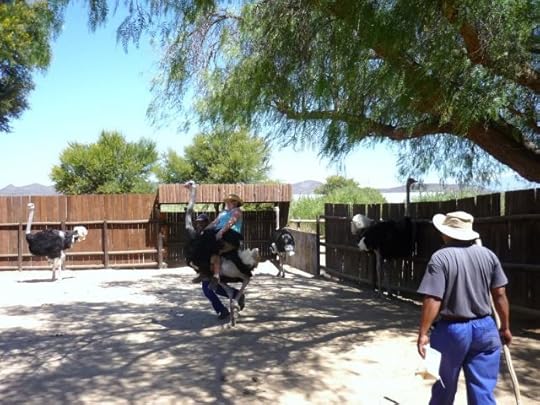 Photo courtesy of Kim Bradley.