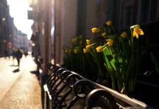 Inline_Urban_Nature_Deficit