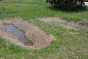 2-holes-spare-lot-04-04-2017