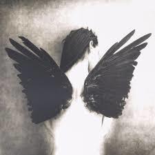  photo blackwings_zpsv7dkiu8g.jpeg