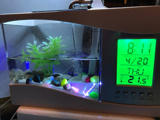 image, desk sized fish tank
