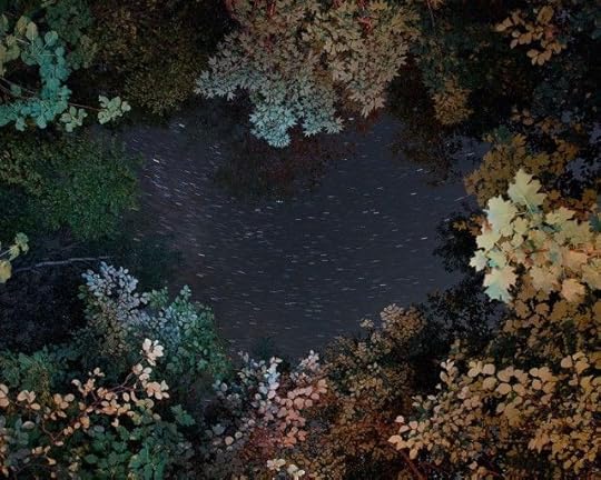 Image result for shouting into the void