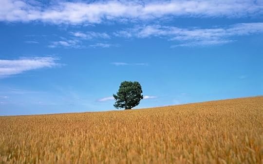 Image result for can i get a do over animals