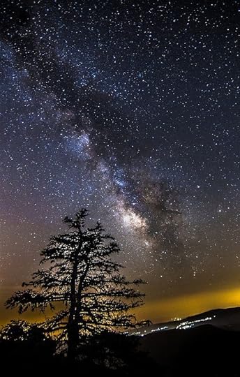 Image result for over