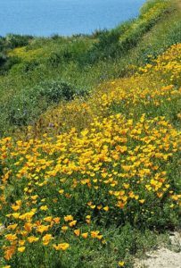 Courtesy of Almita Bey Carrion