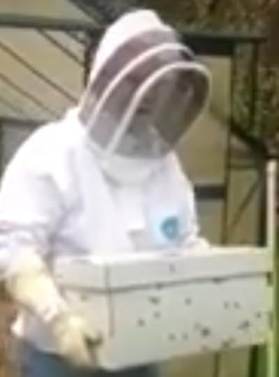 Yes, those are bees on the box.