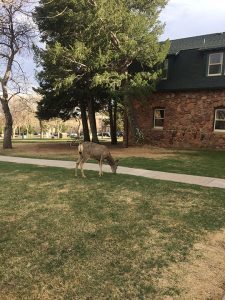 Franciscan Retreat Center