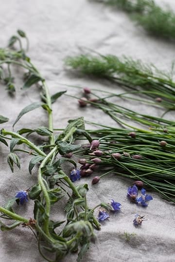 wild herbs