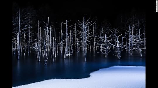 <strong>Borderline: </strong>Named the best nature photo this year, Japanese photographer Hiroshi Tanita describes his photo as "the boundary line between blue and white, ice and snow which appeared in the pond to which thin ice came into winter."<br />Copyright: © Hiroshi Tanita, Japan, 1st Place, Open, Nature, 2017 Sony World Photography Awards