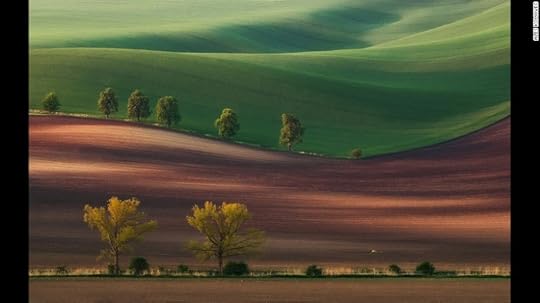 <strong>Chestnut Avenue: </strong>Aleš Komovec took this picture during his first visit to South Moravia, Czech Republic. It was awarded third place (Slovenia). "I knew about this place from the internet -- it's one of the most photographed places in the area, but it was really a surprise for me, when, after a half night drive and two hours of sleep, I woke up on this location. The light, weather and everything was perfect that morning."Copyright: © Aleš Komovec, Slovenia, 3rd Place, National Awards, 2017 Sony World Photography Awards