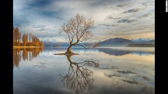 <strong>Wanaka Tree: </strong>Linda Cutche of New Zealand tasked herself with a challenge to frame the famous tree in Lake Wanaka in a unique way. "Although this scene had been photographed by many, I was artistically challenged to take my own version. The idea was to go on an early morning venture and get a good spot before the sun rose, capturing the glory of an amazing sunrise showering the tree in a golden light."<br />Copyright: © Linda Cutche, New Zealand, 3rd Place, National Awards, 2017 Sony World Photography Awards