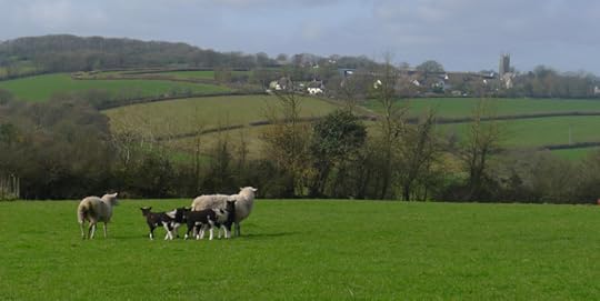 Beautiful Lowton Farm