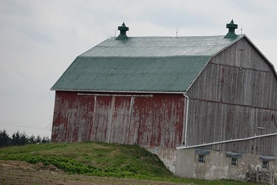 DSC_9202