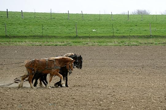 DSC_9215