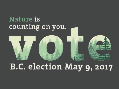 Photo: BC Election: Ask your candidates where they stand on the environment