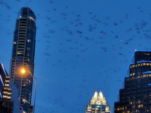 1-IMG_20170412_201533