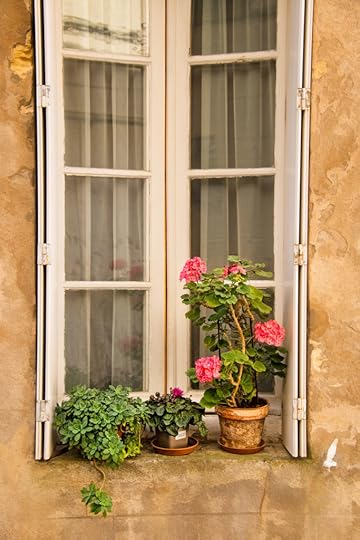 Window © Harold Davis