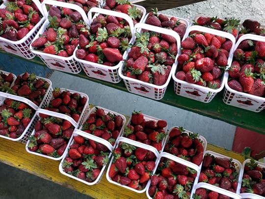 baskets of strawberries for quick pickled balsamic strawberries