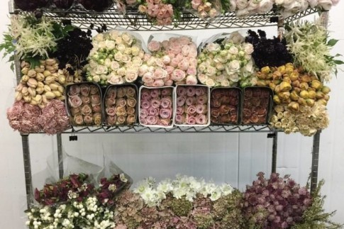 10 Simple Projects To Upgrade Your Home Energy! | The Tao of Dana