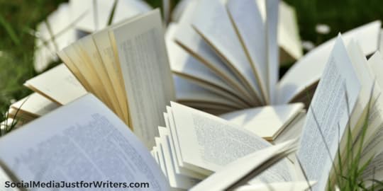 ndie Author Weekly Update