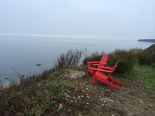 Image result for frolicking in meadow
