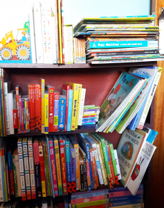 hugo bookshelf