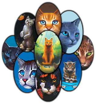 Image result for warriors cats