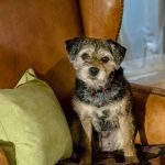 The Art Of Us: Premieres 05.20.17 @ 8/7c on Hallmark Channel