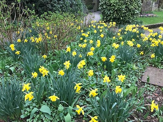 Someone had to take time to plant each bulb to make this so beautiful. Let me not walk by without noticing.
