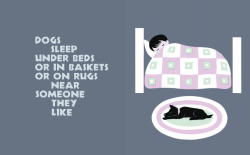 SleepyBookZolotowIllusVladimirBobri