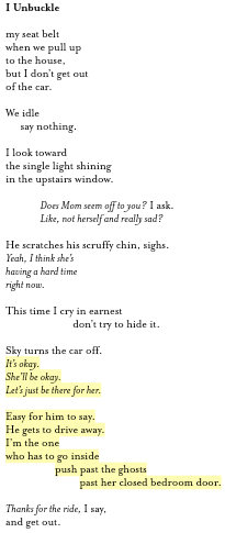 This Impossible Light 4-- bookspoils