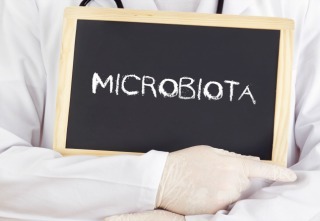 Inline_Probiotics_Post_05.012.17