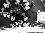 Blackjack game aboard Str. Quincy