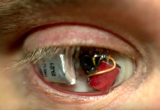 This Camera-Eye Will Leave You with a Different Perspective