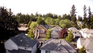 And Other Fun Stuff: Flying a Drone