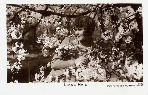 Liane Haid