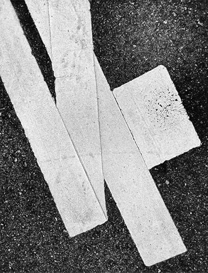 Daido Moriyama, from the series Dog and Mesh Tights, 2015 © Daido Moriyama Photo Foundation