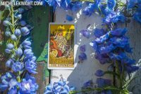 Weekly Astro Tarot with our Psychic Tanya 1-7th May 2017