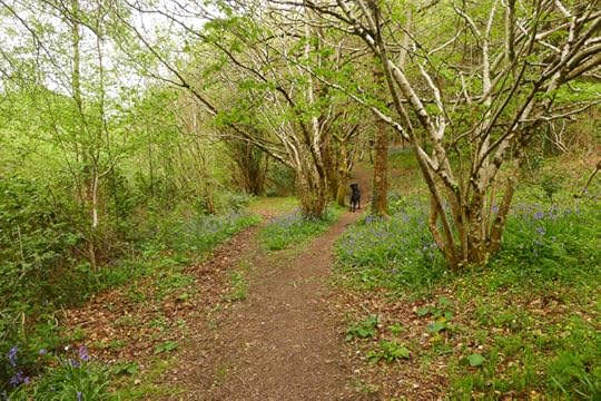 Winding into the woods border=