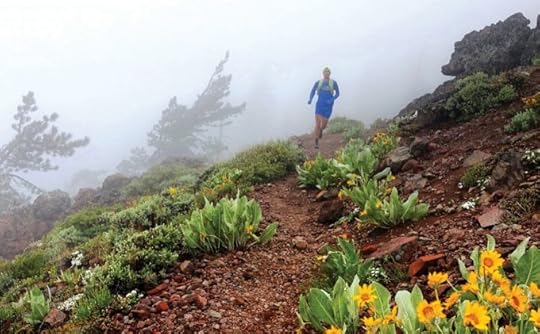 Dylan Bowman on the Pacific Crest Trail, California