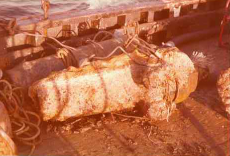 Primrose guns being raised fourth photo.jpg