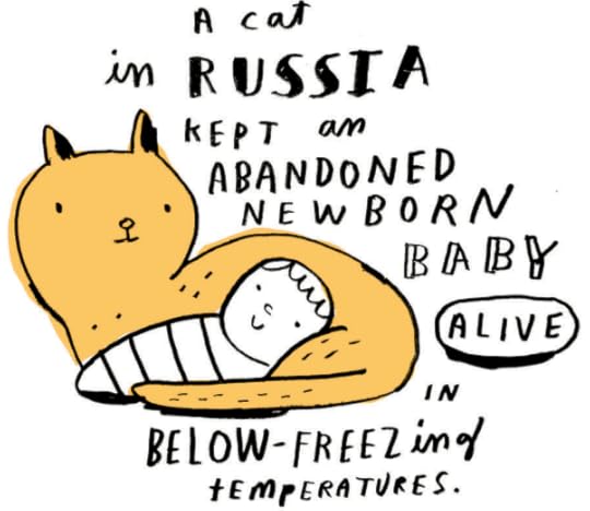 Random Illustrated Facts 3-- bookspoils