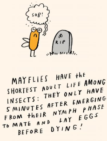 Random Illustrated Facts 7-- bookspoils