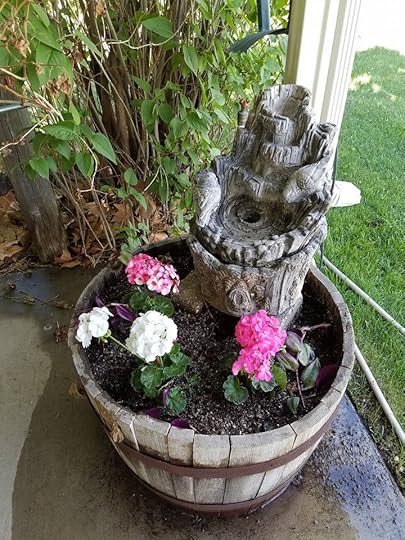 Image may contain: plant and outdoor