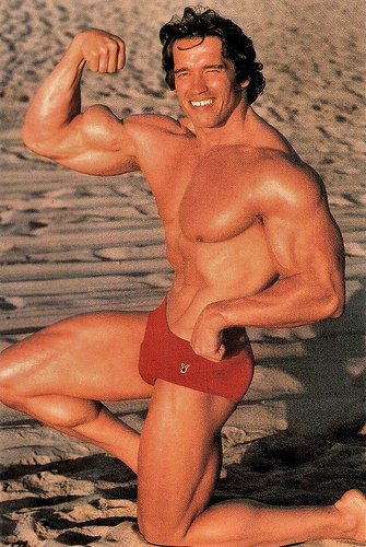 Arnold Schwarzenegger