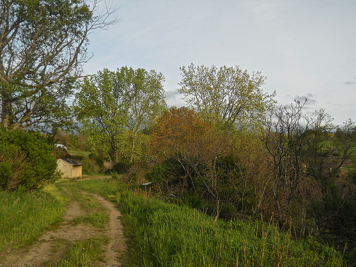 May at Lampson Brook Farm