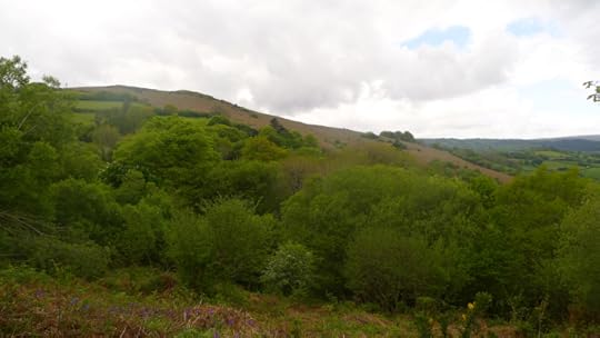 Meldon Hill,Chagford